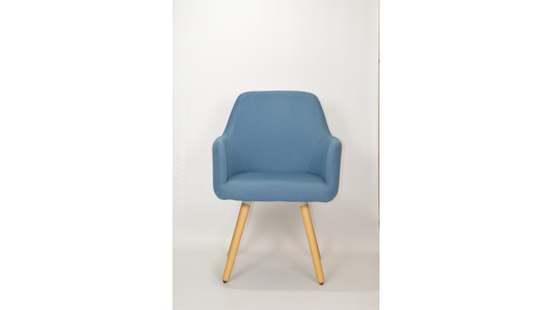 ELLEN FANCY INTERIOR CHAIR (WITH ARMREST)